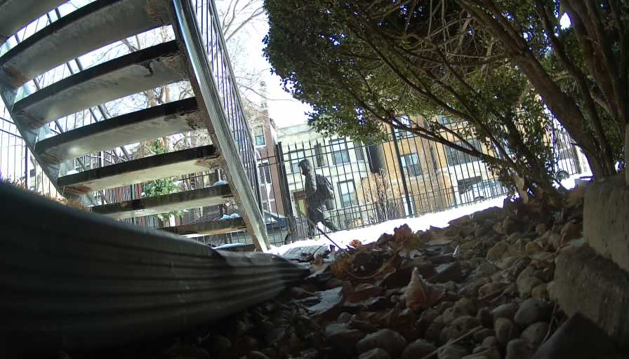 Reolink Camera Two_01_Reolink Home Hub One_20250111112552.jpg